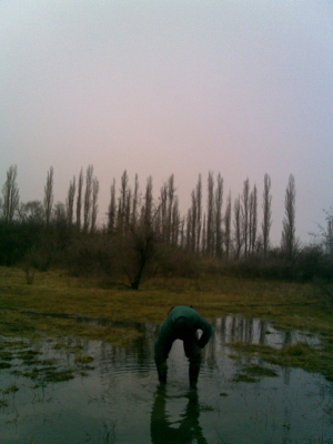 Ильичево. 19.02.2010г.