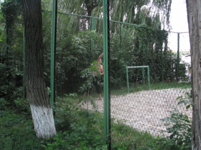 День фирмы. 2009г. Автор: проектный отдел